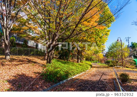 秋の風景 住宅街の遊歩道 秋の風景 住宅街の遊歩道 96352932