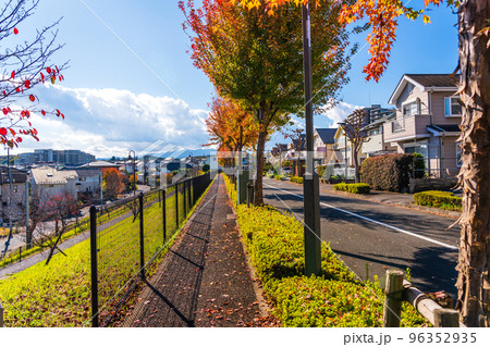 秋の風景 住宅街の遊歩道 秋の風景 住宅街の遊歩道 96352935