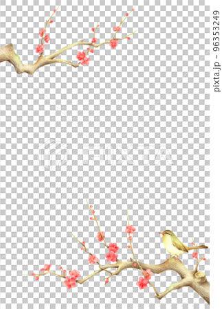 紅梅の枝に止まるうぐいすの背景　縦　手描き色鉛筆画 96353249