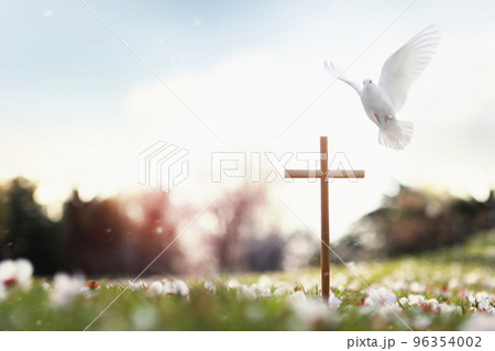 クロス 鳩 花びら 96354002