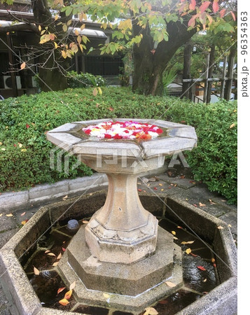 京都のお寺の華やかな花手水 大谷本廟 京都のお寺の華やかな花手水 大谷本廟 96354363