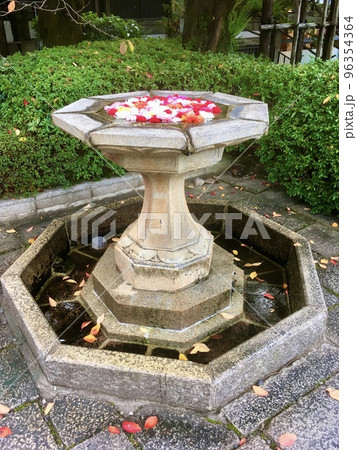 京都のお寺の華やかな花手水 大谷本廟 京都のお寺の華やかな花手水 大谷本廟 96354364