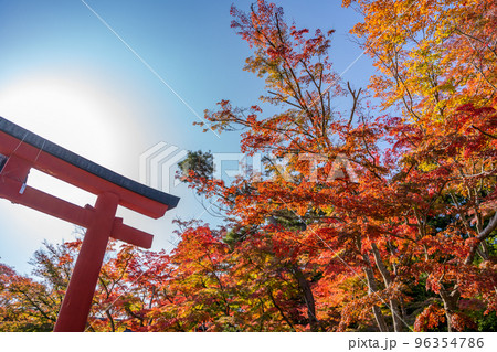 塩釜神社 志波彦神社 鳥居 秋 紅葉 塩釜神社 志波彦神社 鳥居 秋 紅葉 96354786