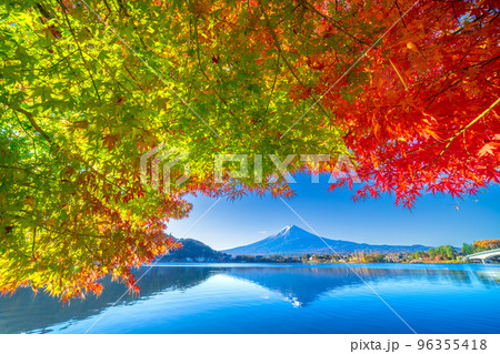 色鮮やかなモミジと逆さ富士に河口湖大橋 96355418