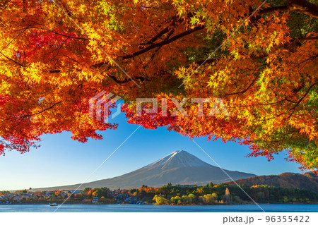 河口湖からの鮮やかな朝の紅葉と富士山 96355422