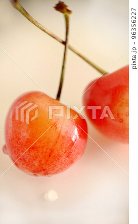 Close-up of ripe cherries selectively stand out against a light background Close-up of ripe cherries selectively stand out against a light background 96356227