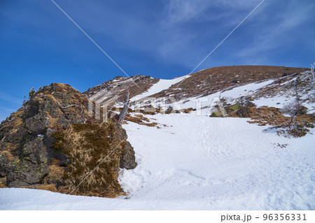 群馬県 冬の日光白根山の森林限界から南西斜面を見る 96356331