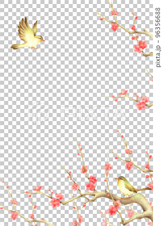 紅梅の枝に止まるうぐいすと羽ばたくうぐいすの背景　縦　手描き色鉛筆画 96356688