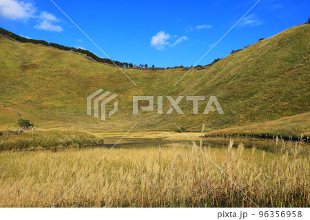 曽爾高原　すすきの群生 96356958