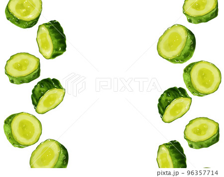 手描き水彩の輪切りきゅうりイラスト長方形フレーム・左右 手描き水彩の輪切りきゅうりイラスト長方形フレーム・左右 96357714