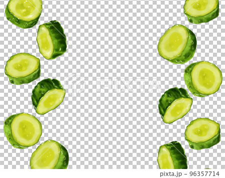 手描き水彩の輪切りきゅうりイラスト長方形フレーム・左右 手描き水彩の輪切りきゅうりイラスト長方形フレーム・左右 96357714