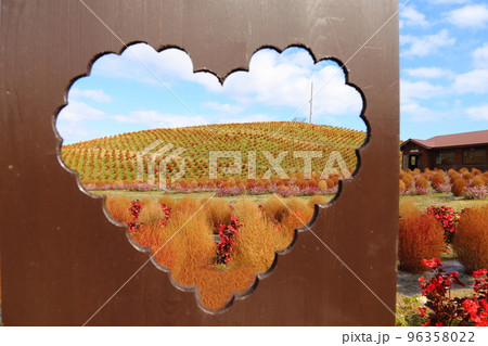 びわこ箱館山 【滋賀県高島市】 96358022