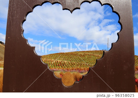 びわこ箱館山 【滋賀県高島市】 96358025