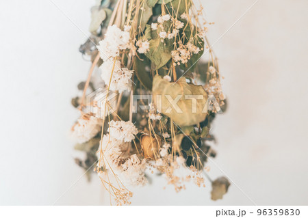 ドライフラワー 96359830