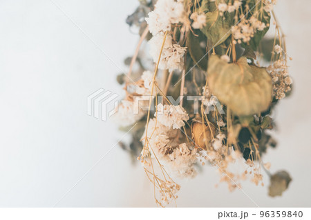 ドライフラワー 96359840