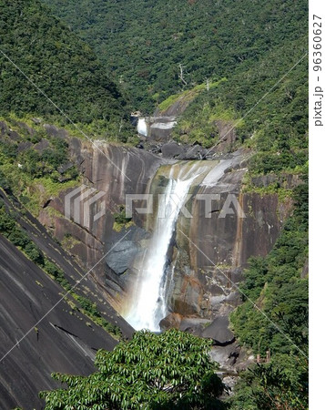 屋久島の名瀑「千尋の滝」 96360627