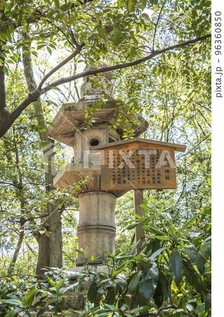 新緑の木々の中に立つ佐久間燈籠 96360850