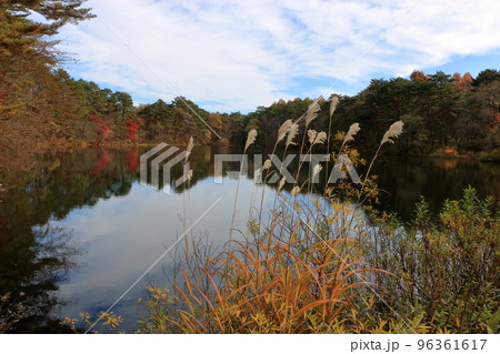 The mysterious Goshikinuma Ponds in Urabandai Fukushima, in Northern Japan, with their many changing colors.  The mysterious Goshikinuma Ponds in Urabandai Fukushima, in Northern Japan, with their many changing colors.  96361617