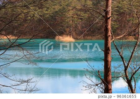 The mysterious Goshikinuma Ponds in Urabandai Fukushima, in Northern Japan, with their many changing colors.  96361655