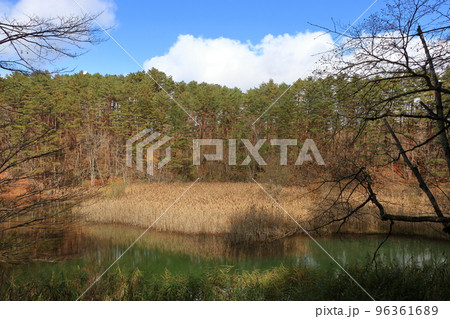 The mysterious Goshikinuma Ponds in Urabandai Fukushima, in Northern Japan, with their many changing colors.  96361689