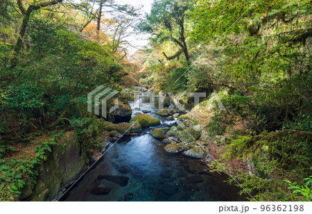 秋の頃菊池渓谷の紅葉が美しい渓谷美風景 秋の頃菊池渓谷の紅葉が美しい渓谷美風景 96362198