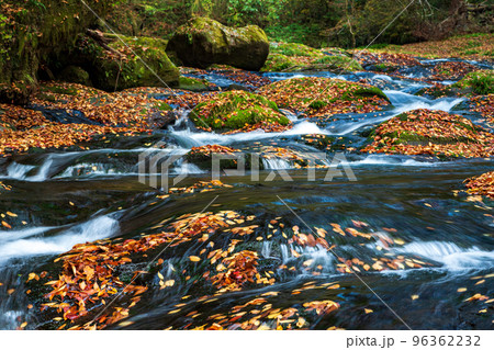 秋の頃菊池渓谷の紅葉が美しい渓谷美風景 秋の頃菊池渓谷の紅葉が美しい渓谷美風景 96362232