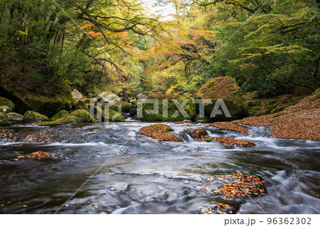 秋の頃菊池渓谷の紅葉が美しい渓谷美風景 96362302