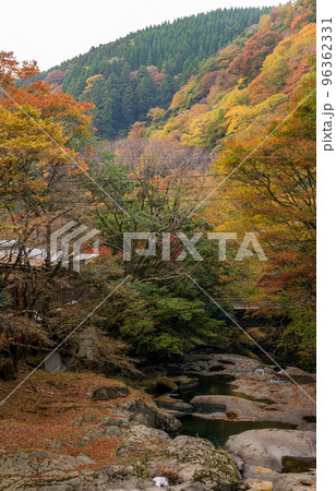 秋の頃菊池渓谷の紅葉が美しい渓谷美風景 96362331
