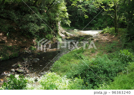 鉢形城跡、外曲輪の木々に囲まれた渓谷【埼玉県寄居町】 96363240