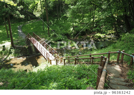鉢形城跡、外曲輪の木々に囲まれた渓谷【埼玉県寄居町】 96363242