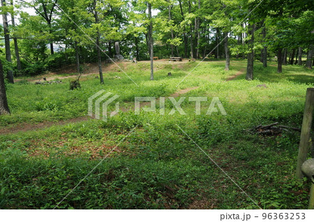 鉢形城跡、御殿曲輪(本曲輪)【埼玉県寄居町】 96363253