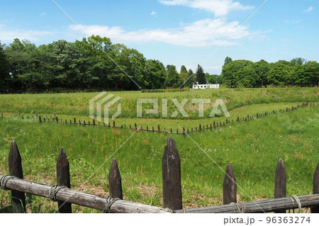 鉢形城跡の二の曲輪全景【埼玉県寄居町】 鉢形城跡の二の曲輪全景【埼玉県寄居町】 96363274