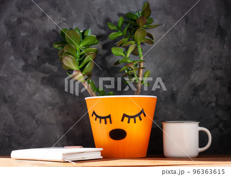 Succulent plant in orange pot. Creative reindeer with green horns in minimal style. Minimalistic home decor,urban jungle 96363615