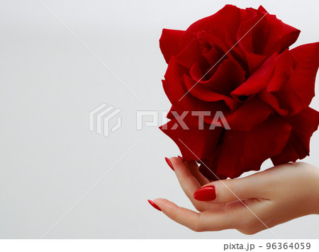 Closeup of hands of a young woman with red 96364059