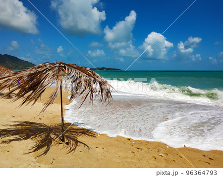 Tropical sandy beach by the ocean. Relaxation atmosphere 96364793