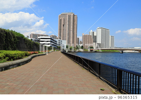 隅田川テラスの広い遊歩道とマンション群 96365315