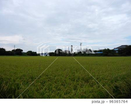 木下の風景 96365764