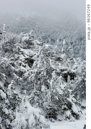 坪庭から北横岳　（北八ヶ岳） 96367249