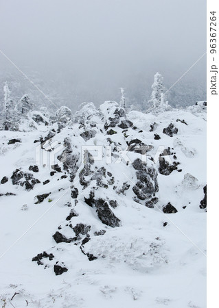 坪庭から北横岳 (北八ヶ岳) 坪庭から北横岳 (北八ヶ岳) 96367264