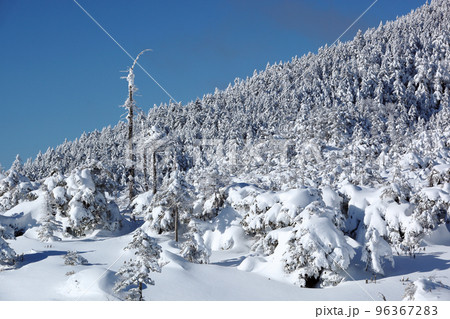 坪庭から北横岳　（北八ヶ岳） 96367283
