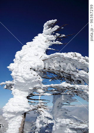 坪庭から北横岳　（北八ヶ岳） 96367299