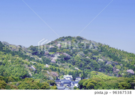 春の山 96367538