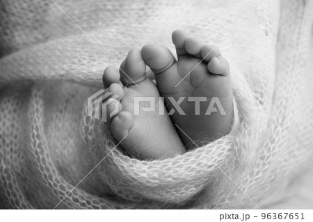 Soft feet of a newborn in a woolen blanket Close-up of toes, heels and feet of a baby.The tiny foot of a newborn. Baby feet covered with isolated background. Black and white studio macro photography. Soft feet of a newborn in a woolen blanket Close-up of toes, heels and feet of a baby.The tiny foot of a newborn. Baby feet covered with isolated background. Black and white studio macro photography. 96367651