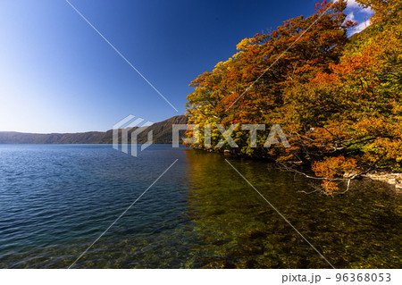【青森県・十和田湖】錦秋のオアシス 十和田湖 10月 96368053