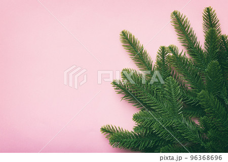 Christmas holiday background with copy space for advertising text. Fir branches on color background . Flat lay, top view Christmas holiday background with copy space for advertising text. Fir branches on color background . Flat lay, top view 96368696
