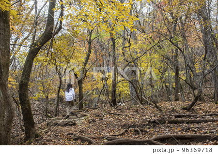 紅葉の色づき始めた山を歩く女性と犬 96369718