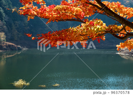 西荒川ダム湖 西荒川ダム湖 96370578