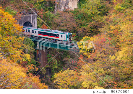 （宮城県）紅葉最盛期の鳴子峡・大深沢橋からJR線を見下ろす 96370604