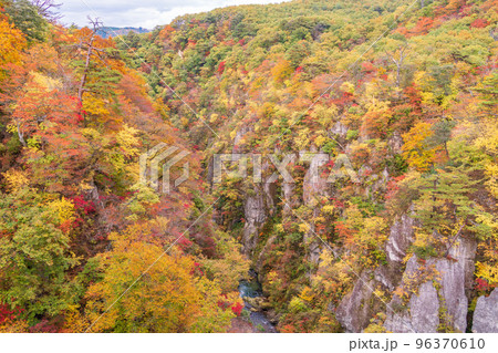 (宮城県)紅葉最盛期の鳴子峡・大深沢橋からJR線を見下ろす (宮城県)紅葉最盛期の鳴子峡・大深沢橋からJR線を見下ろす 96370610