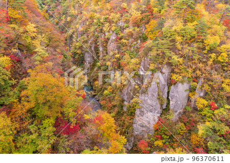 (宮城県)紅葉最盛期の鳴子峡・大深沢橋からJR線を見下ろす (宮城県)紅葉最盛期の鳴子峡・大深沢橋からJR線を見下ろす 96370611